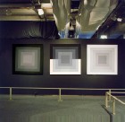 co op du blanc au noir